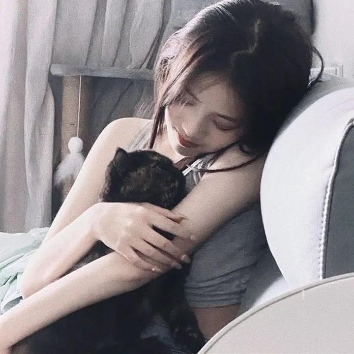 弥天之谎